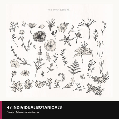 Preview grid of the individual hand-drawn botanical element PNGs included in the kit