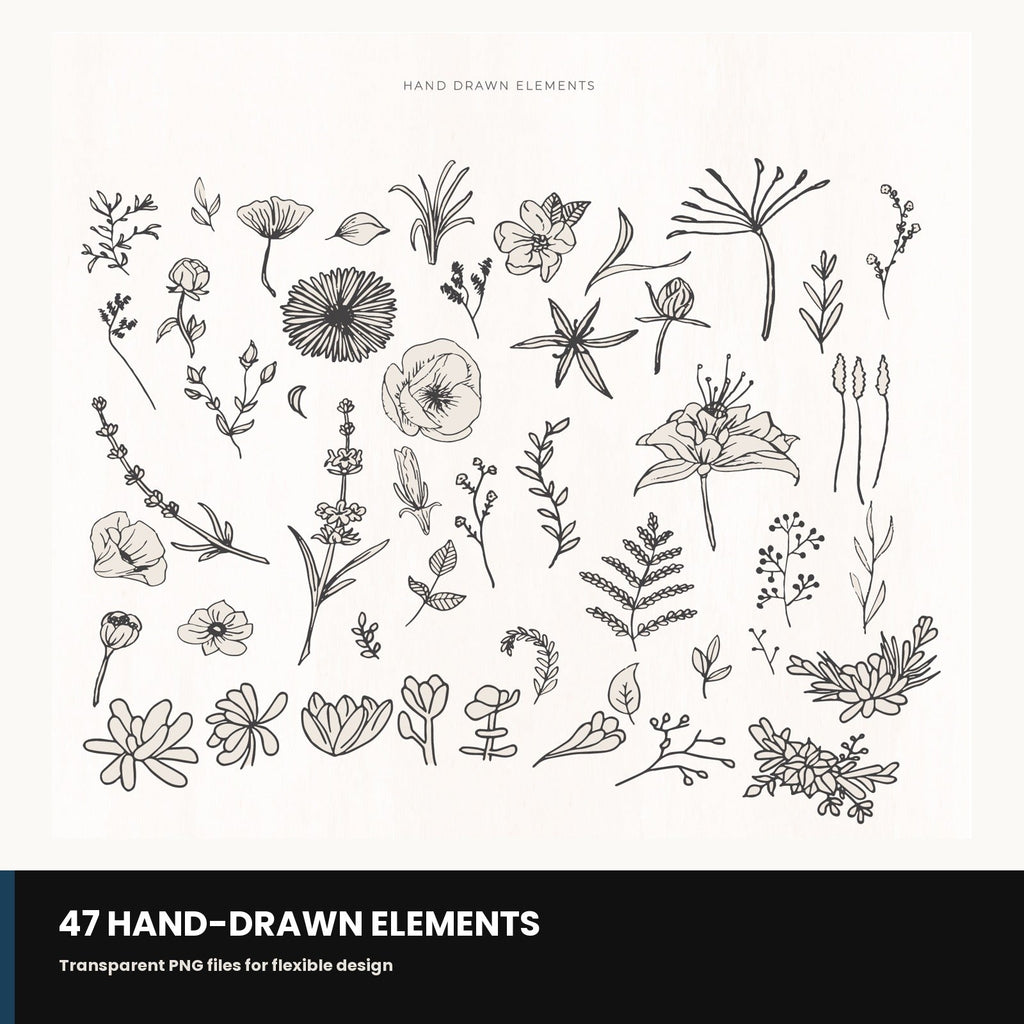 Sample of hand-drawn botanical element and frame PNGs included in the bundle