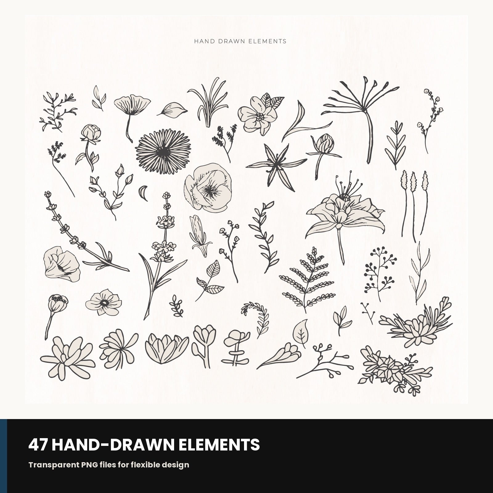 Sample of hand-drawn botanical element and frame PNGs included in the bundle