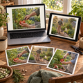 Vegetable Gardening Stock Photos shown on a laptop, tablet, and printed samples