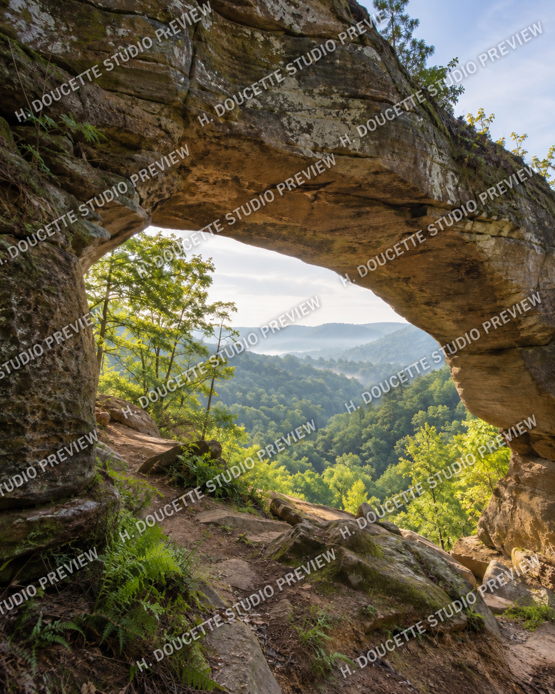 Kentucky Rural Landscape Stock Photos, 10 Seasonal Country Images